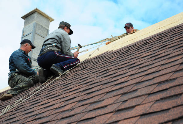 Best Roof Maintenance Services  in Amerin Nyon, CA
